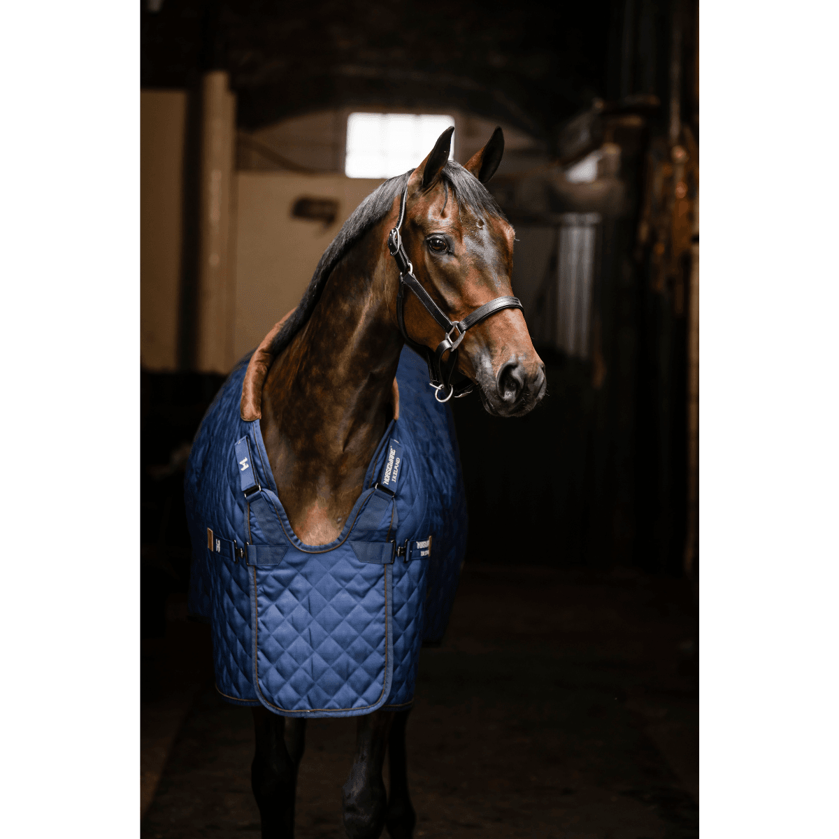 Horseware Signature Stable 200g