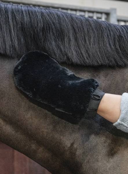 Hovedbilde Grooming Deluxe Sheepskin Grooming Glove Black