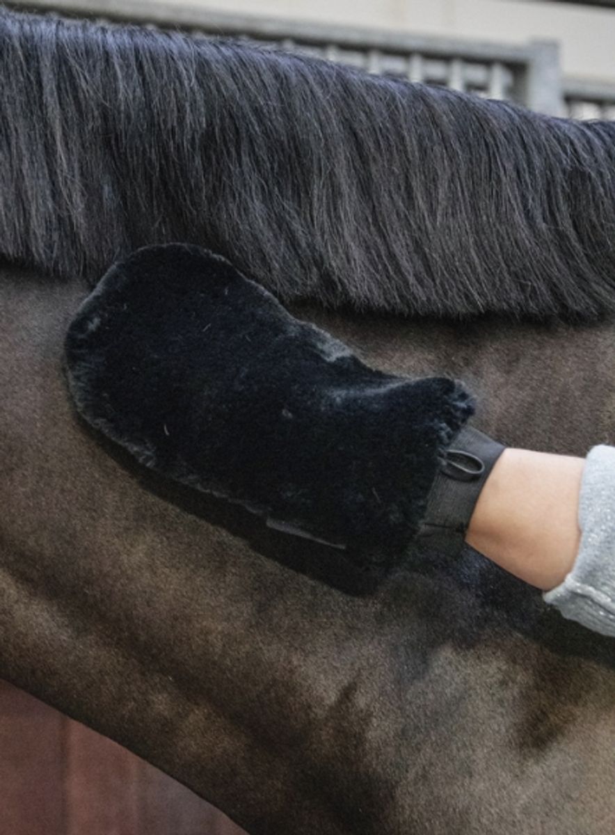 Grooming Deluxe Sheepskin Grooming Glove Black