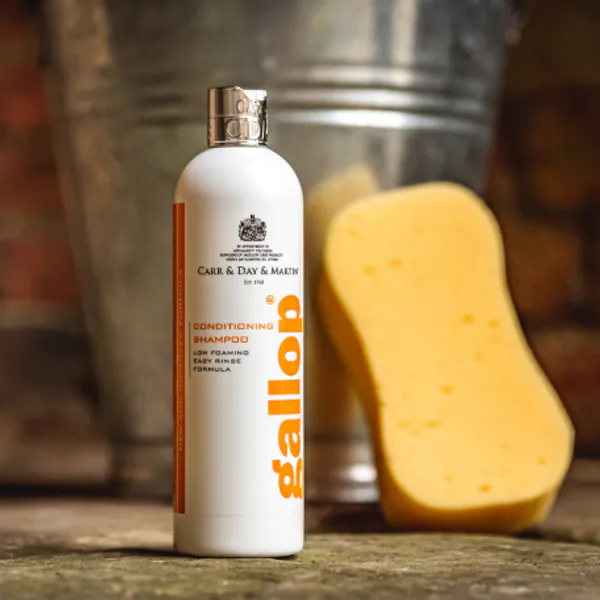Hovedbilde Carr & Day & Martin conditioning shampoo gallop