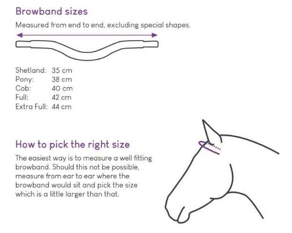 Bilde av Browband Verbena