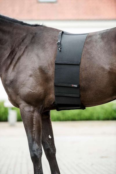 Hovedbilde CATAGO Body shield