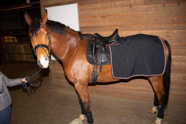 Hovedbilde CATAGO Endurance lændedekken