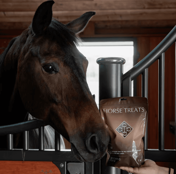 Hovedbilde Grooming Deluxe Horse Treats 1kg - Apple