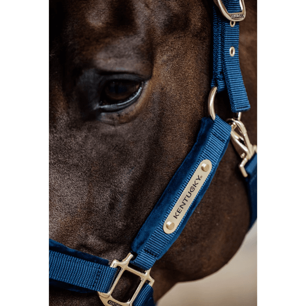 Hovedbilde Kentucky Velvet Halter