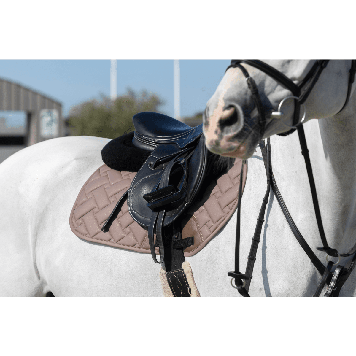 KLLexie Jumping Saddle Pad - Brown iron