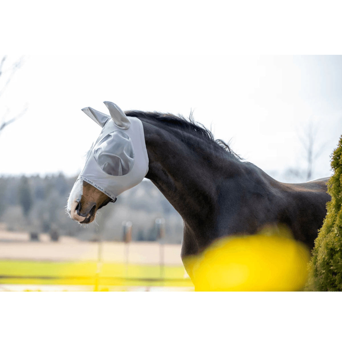 Aloga Fly mask