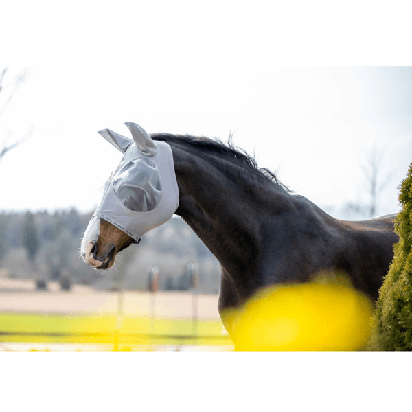 Hovedbilde Aloga Fly mask