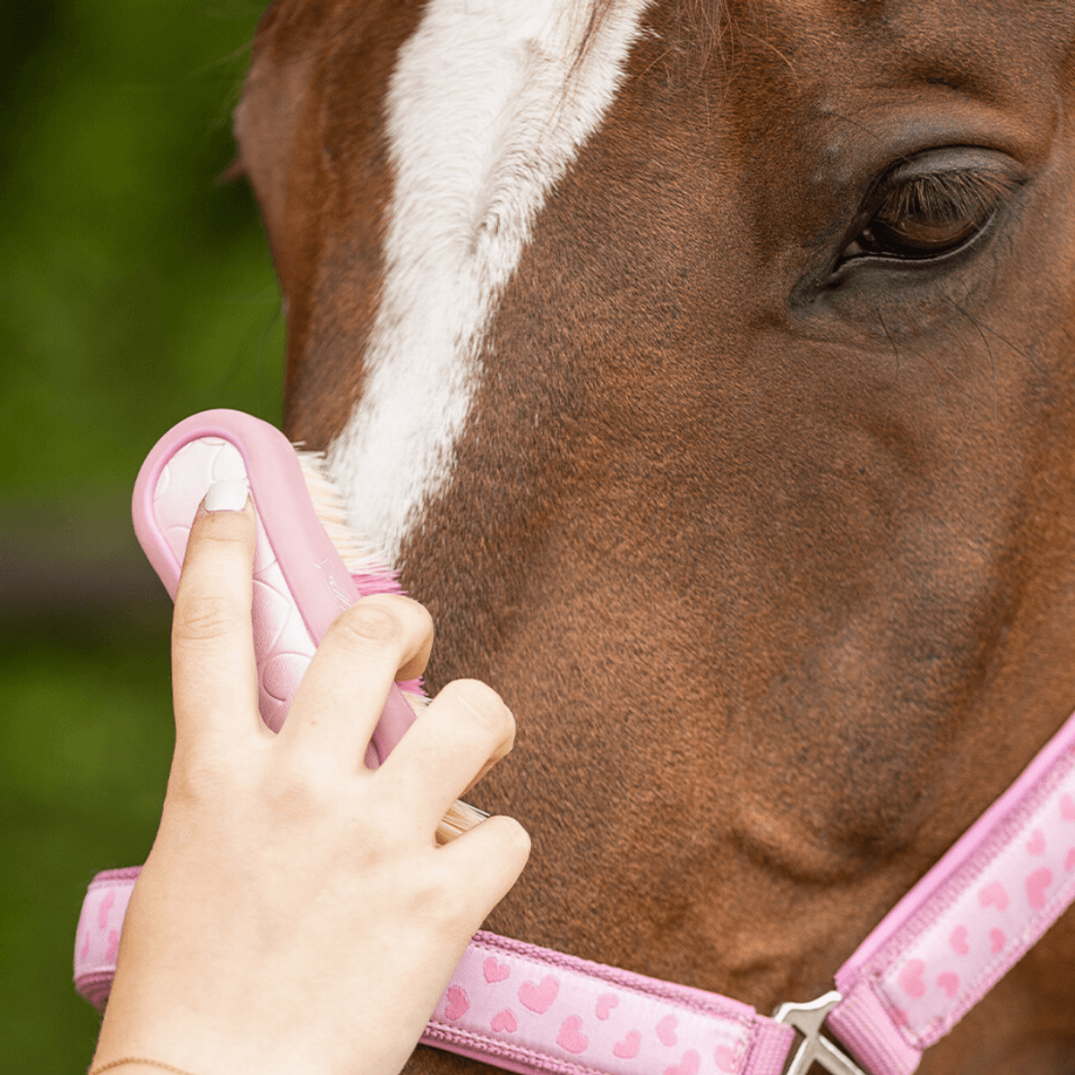 QHP Head brush Lyvia