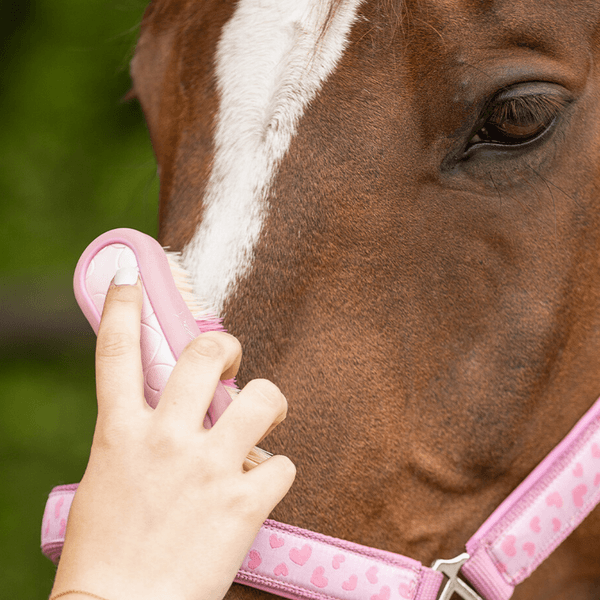 Hovedbilde QHP Head brush Lyvia