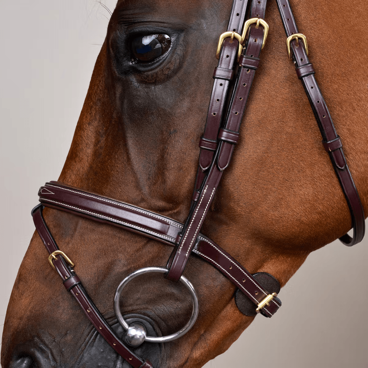 Dyon Flash Noseband Bridle Dyon DY