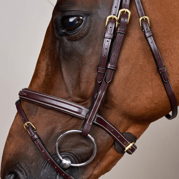 Hovedbilde Dyon Flash Noseband Bridle Dyon DY