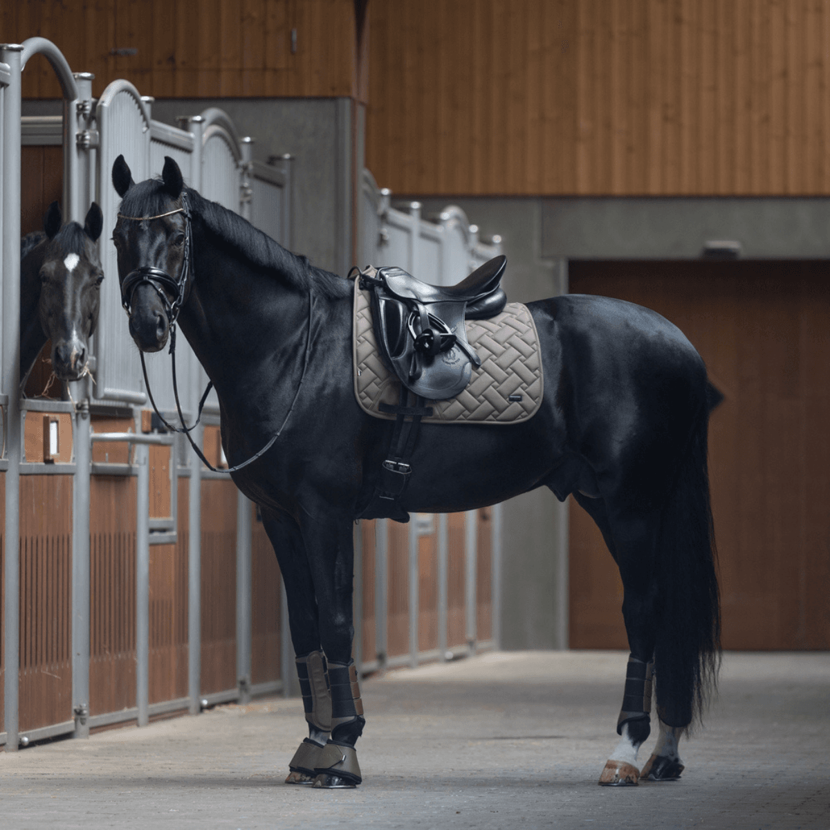 KLLexie Dressage Saddle Pad - Brown