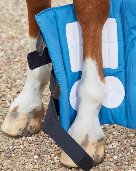 Hovedbilde magnetbelegg Premier Equine