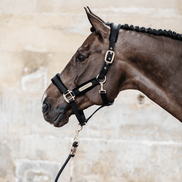 Hovedbilde Kentucky Lead Rope Basic
