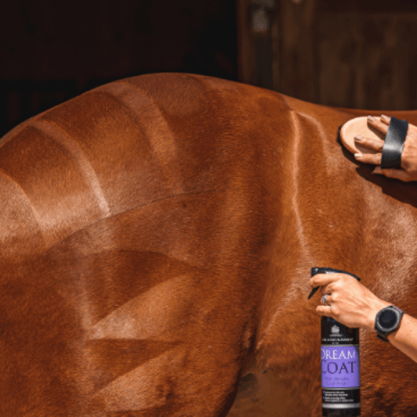 Hovedbilde Carr & Day & Martin Dreamcoat, 500ml