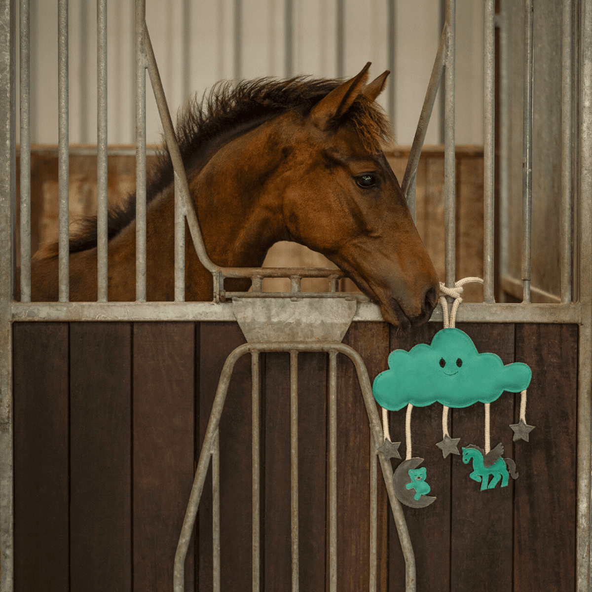 QHP Horse toy Novy