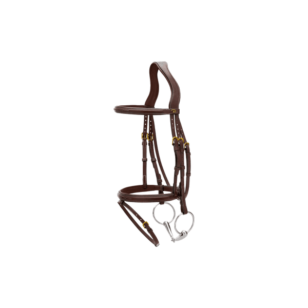 Hovedbilde Dyon Flash Noseband Bridle Dyon DY