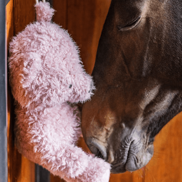 Hovedbilde Kentucky Relax Horse Toy Bear