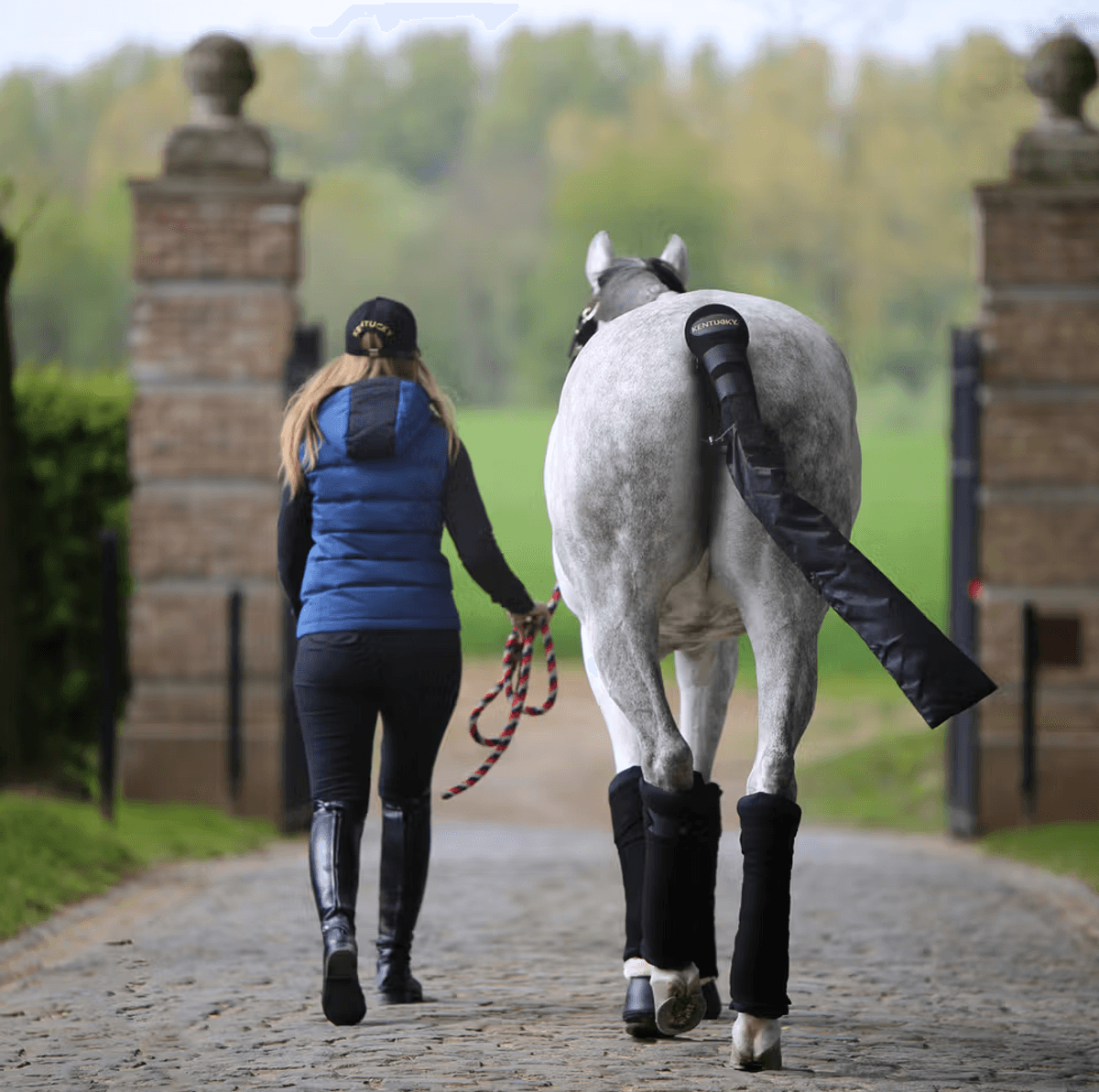 Kentucky Wool Bandage