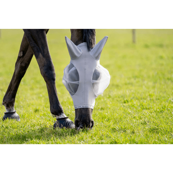 Hovedbilde Aloga Fly mask