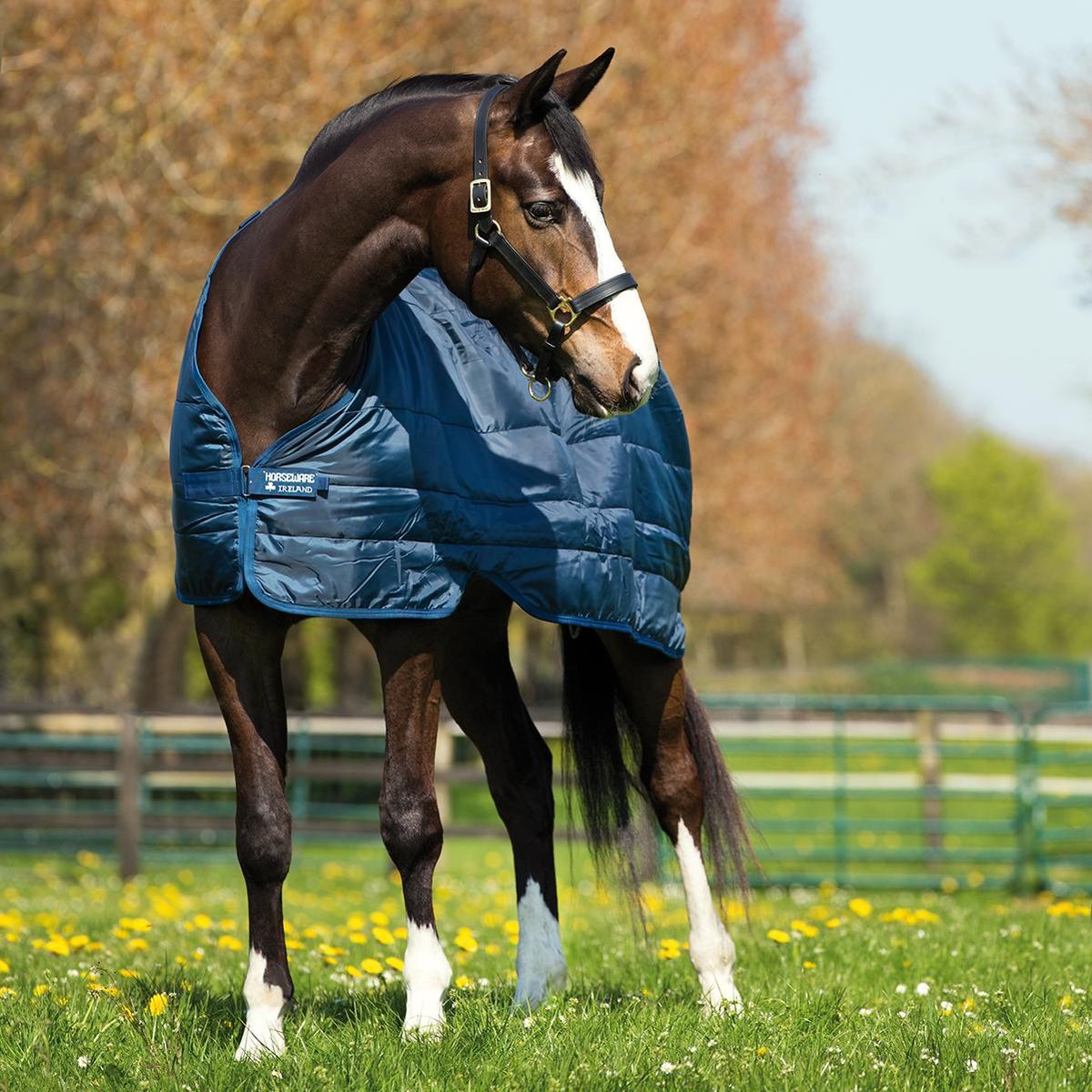 Horseware liner 300g