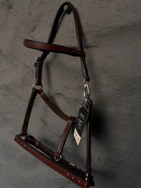 Hovedbilde Grime tergus føll m/diamanter brun