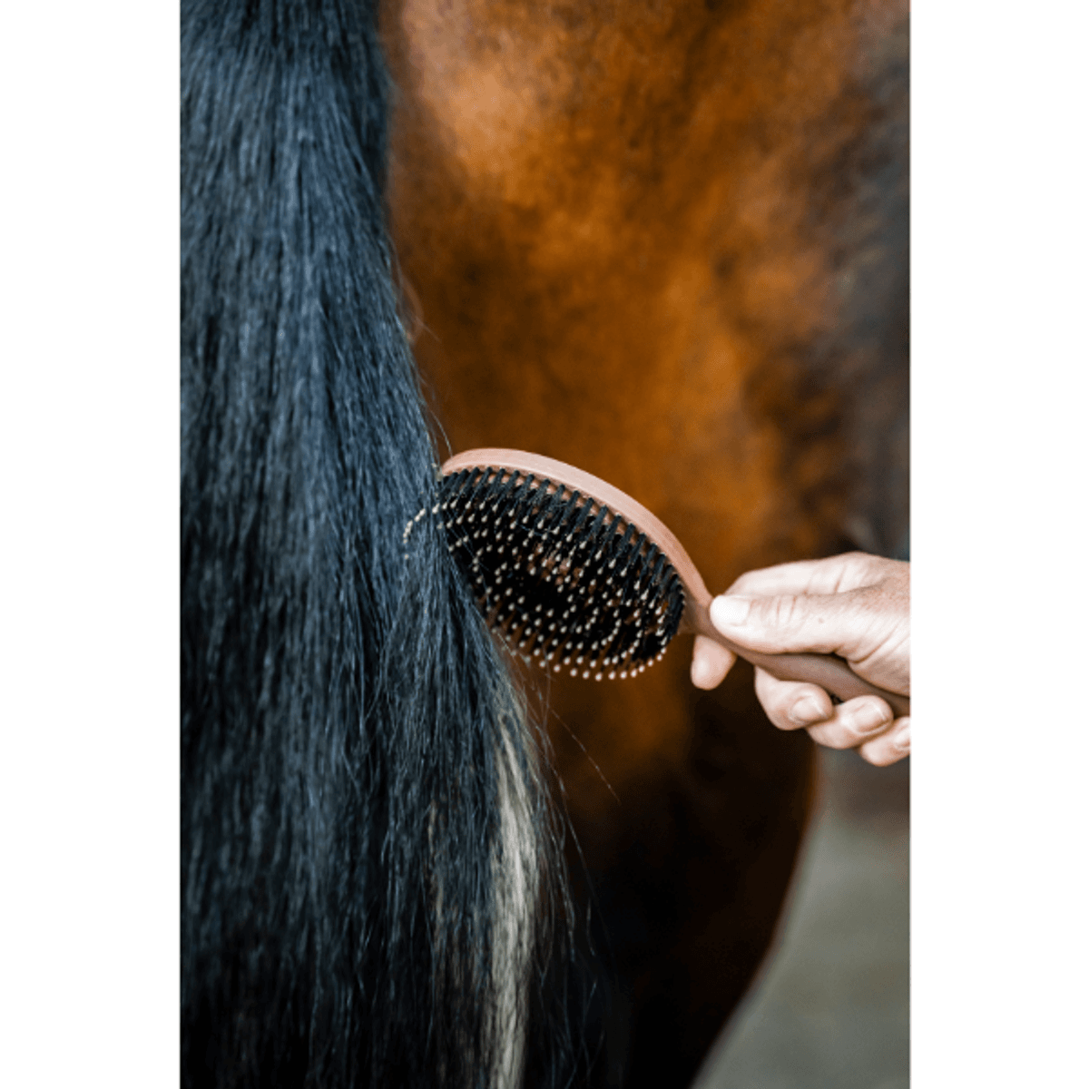 Horseware Signature Mane & Tail Brush