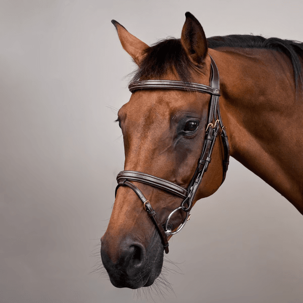 Hovedbilde Dyon Flash Noseband Bridle Dyon DY