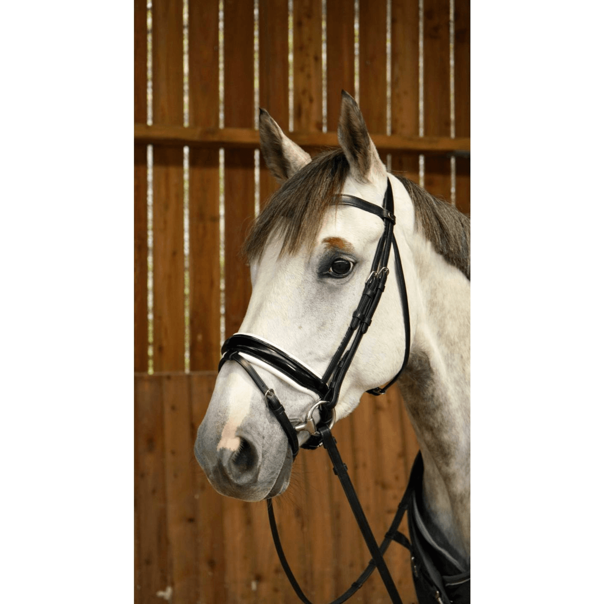 Dyon WO Large Crank Noseband Bridle w Flash Black
