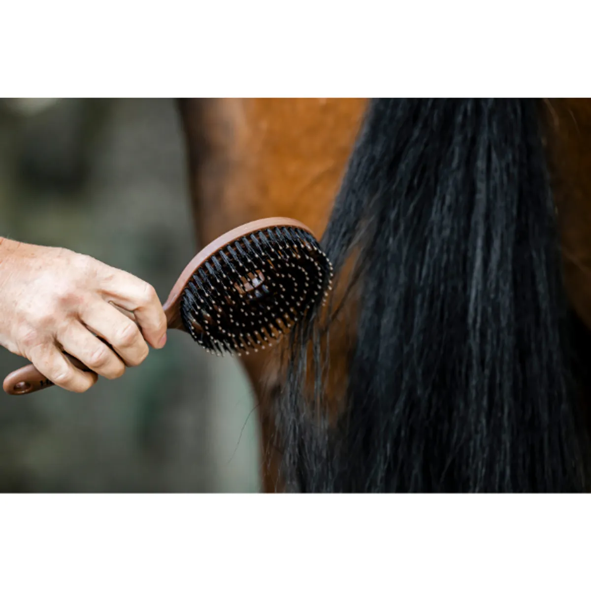 Horseware Signature Mane & Tail Brush