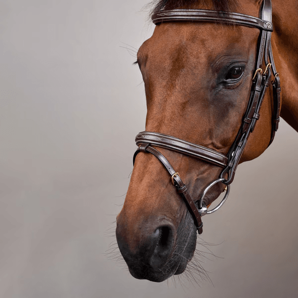 Hovedbilde Dyon Flash Noseband Bridle Dyon DY
