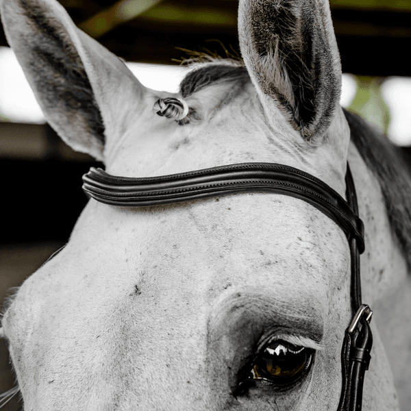 Hovedbilde Horseware Micklem deluxe Competition 