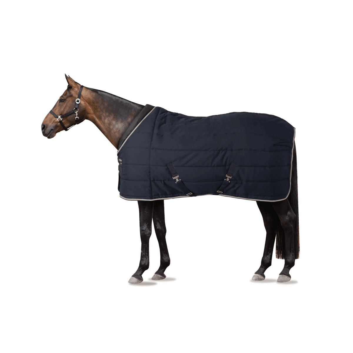 B Vertigo Tim Stable Rug, 400g