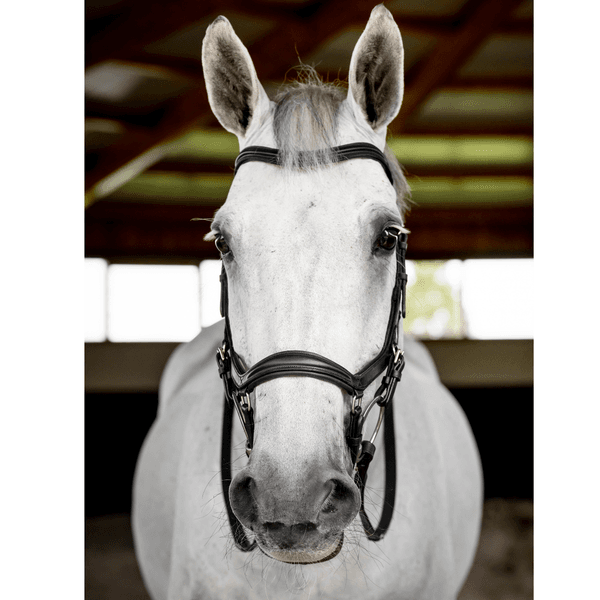 Hovedbilde Horseware Micklem deluxe Competition 
