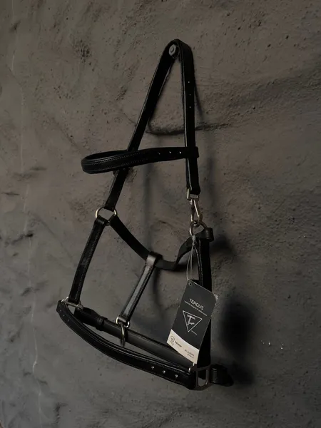 Hovedbilde Grime tergus føll m/diamanter Sort