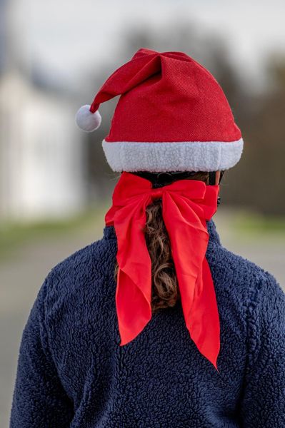 Hovedbilde HorseGuard Nissehue til hjelm glitter