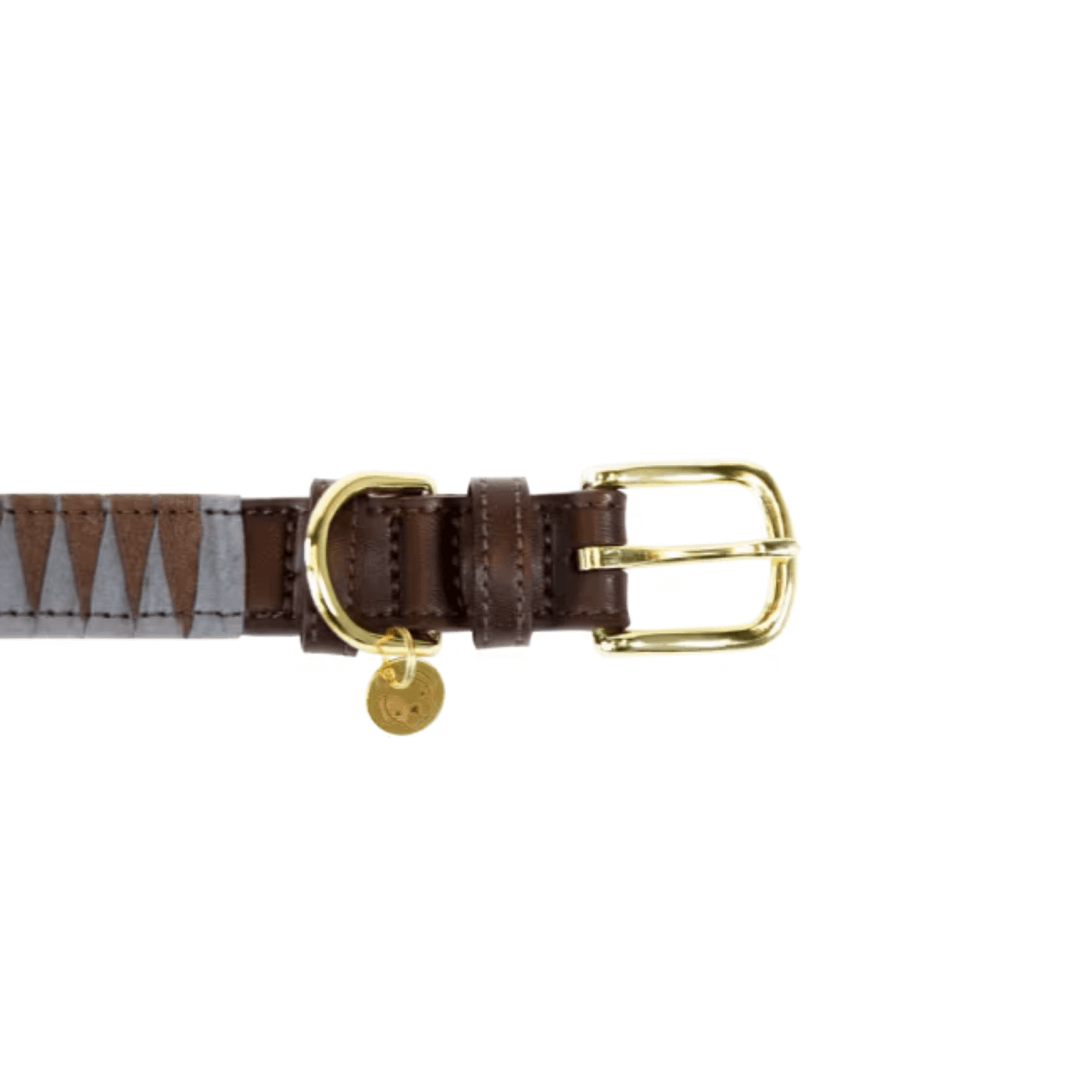 Kentucky Dogwear Dog Collar Triangle