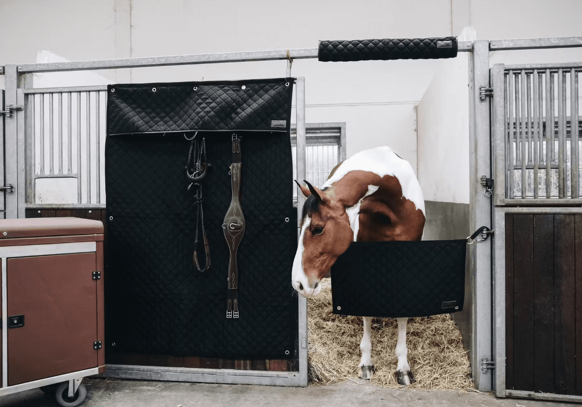 Kentucky Stable Curtin - Black