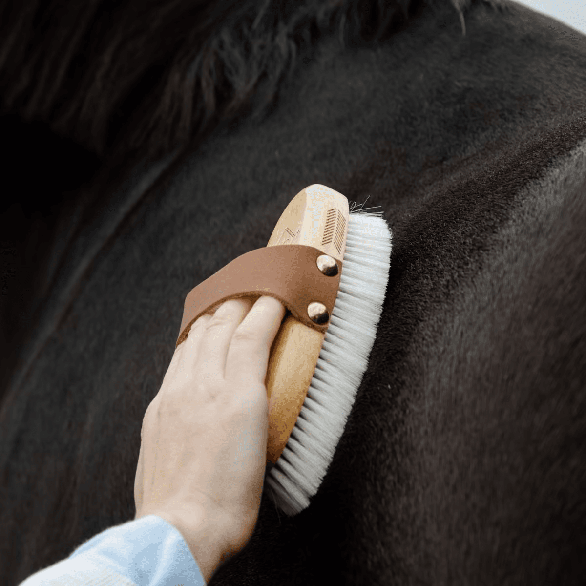 Grooming Deluxe Small Overall Brush Body Soft