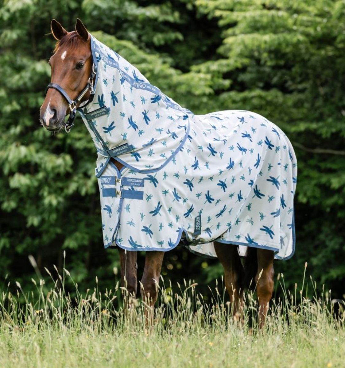 Amigo Bug Rug Plus Pony